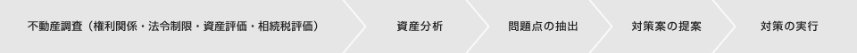 不動産調査(権利関係・法令制限・資産評価・相続税評価) > 資産分析 > 問題点の抽出 > 対策案の提案 > 対策の実行